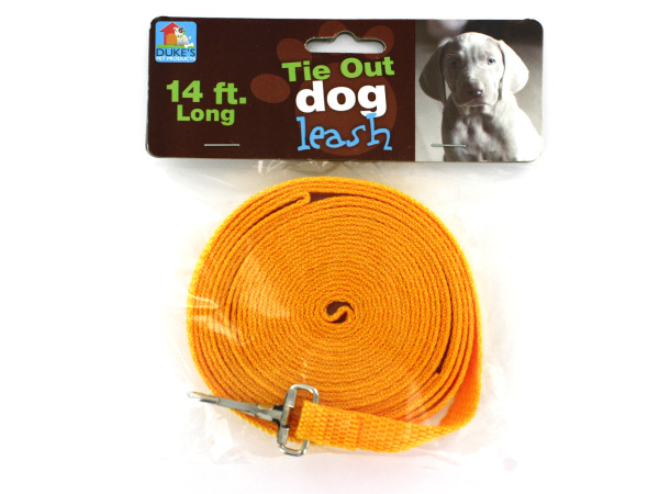 Dog Tie-Out Leash